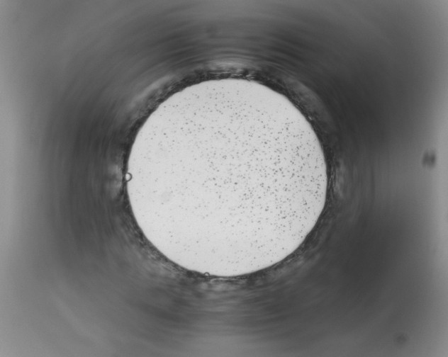 X0000113220821200910221122