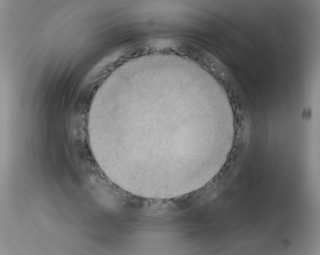 X0000113220824200910221123