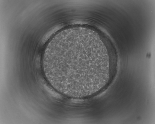 X0000113220825200910221123