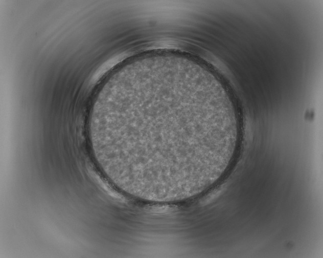 X0000113220826200910221123