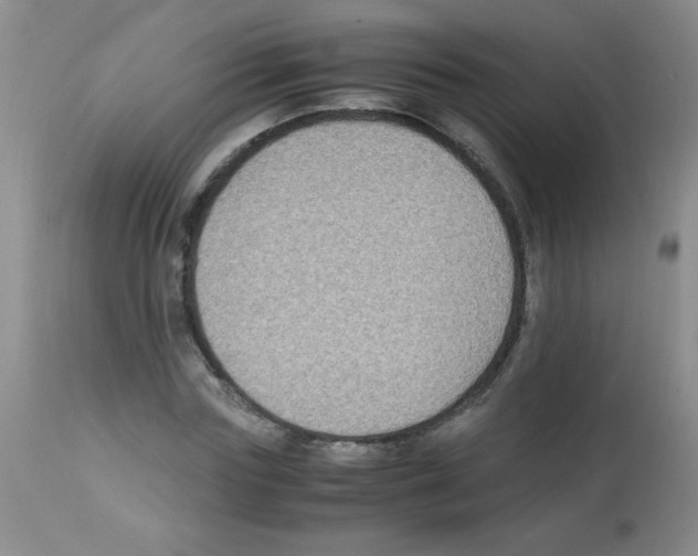 X0000113220827200910221123