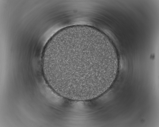 X0000113220828200910221123
