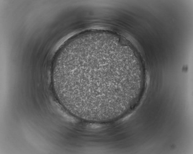 X0000113220829200910221123