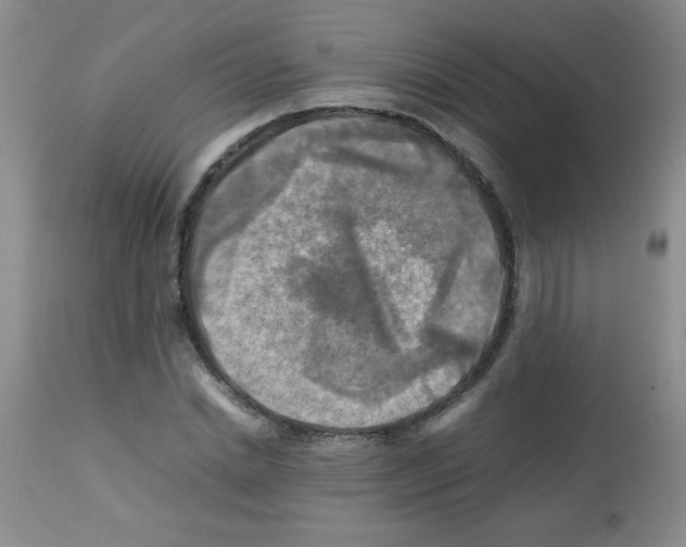 X0000113220830200910221123