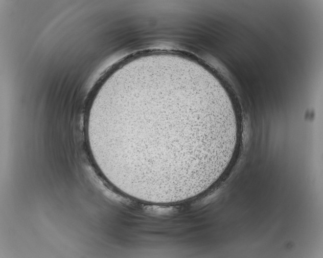 X0000113220831200910221123