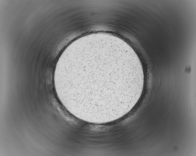 X0000113220833200910221123