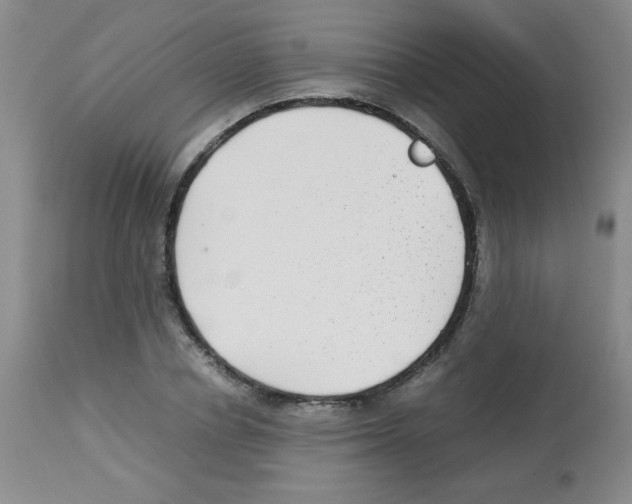 X0000113220834200910221123