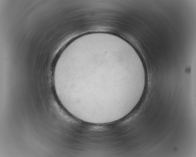 X0000113220835200910221123