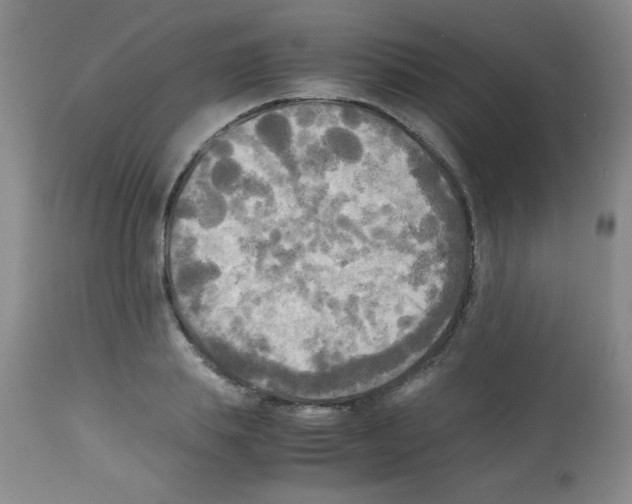 X0000113220839200910221123