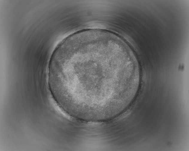 X0000113220840200910221123