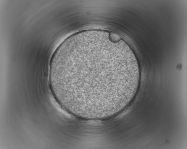X0000113220844200910221123