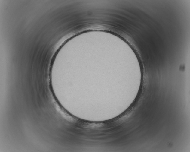 X0000113220845200910221123