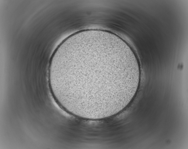 X0000113220847200910221123