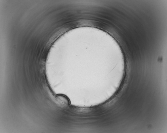 X0000113220849200910221123