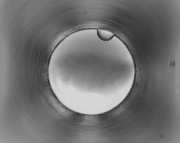 X0000113220850200910221123