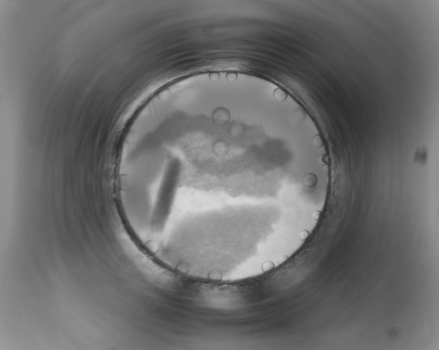 X0000113220851200910221123
