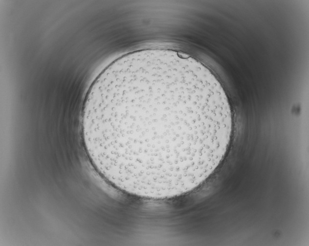 X0000113220852200910221123