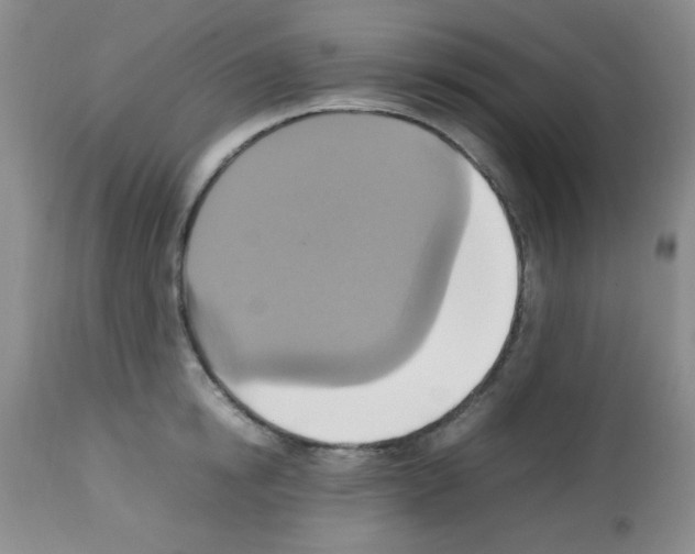 X0000113220854200910221123