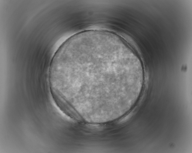 X0000113220855200910221123