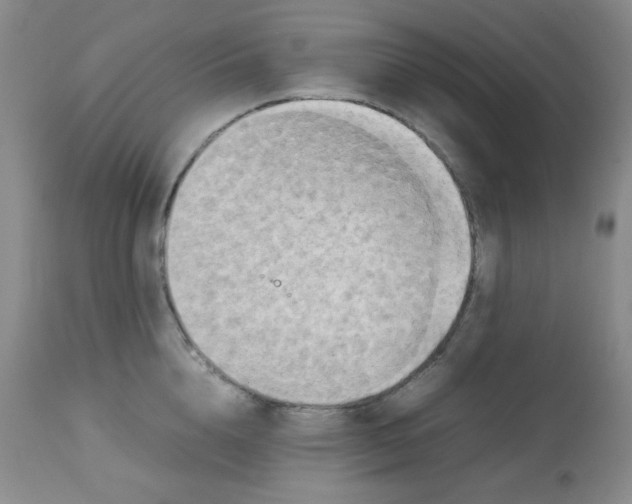 X0000113220856200910221123