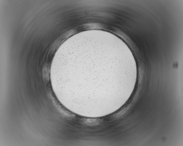 X0000113220857200910221123