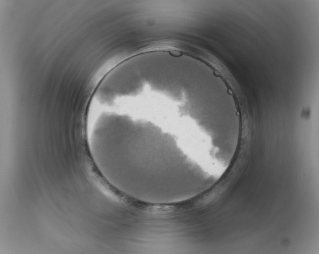 X0000113220858200910221123