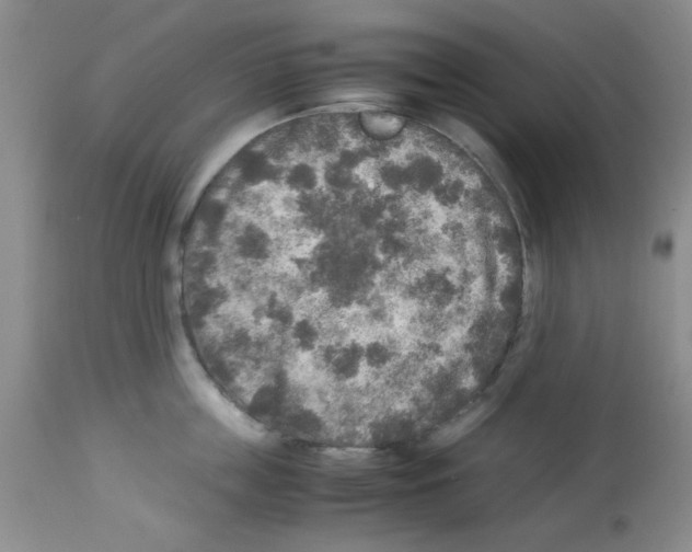 X0000113220859200910221123
