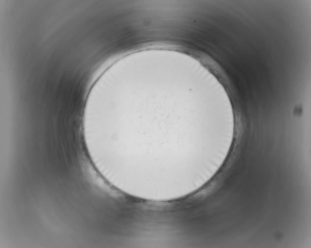 X0000113220860200910221123