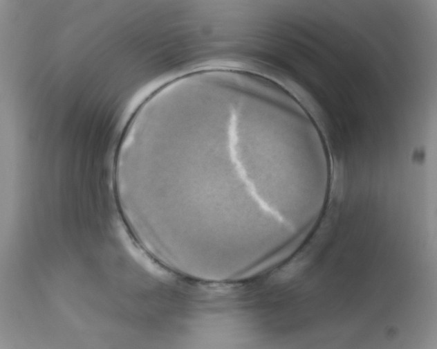 X0000113220862200910221123