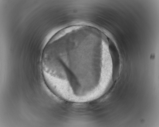 X0000113220863200910221123