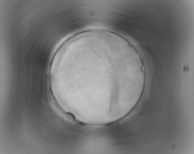 X0000113220864200910221123