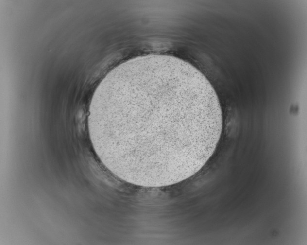 X0000113220866200910221122