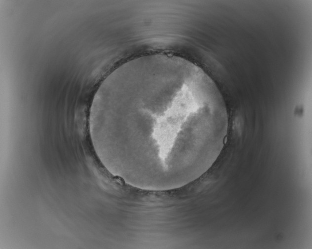X0000113220868200910221122