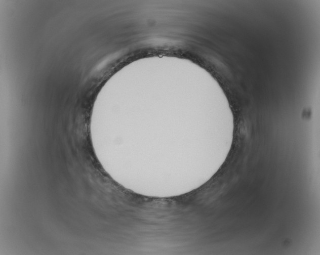 X0000113220869200910221122