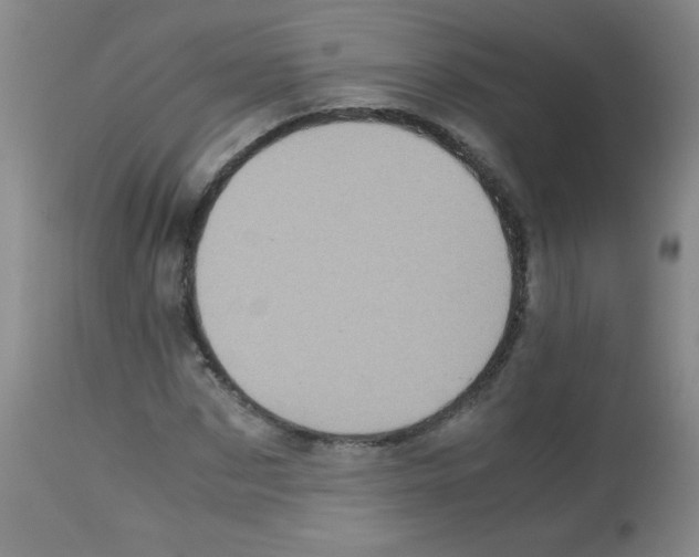X0000113220873200910221122