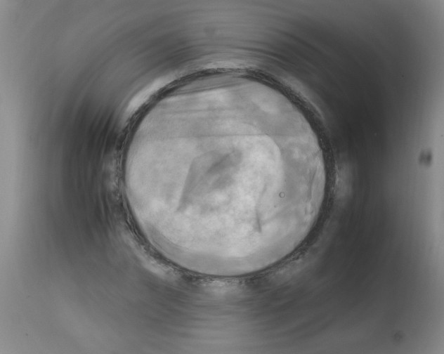 X0000113220874200910221122