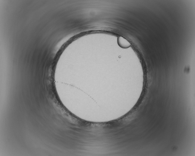 X0000113220875200910221122
