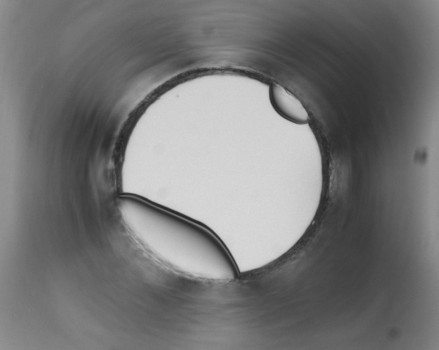 X0000113220876200910221122