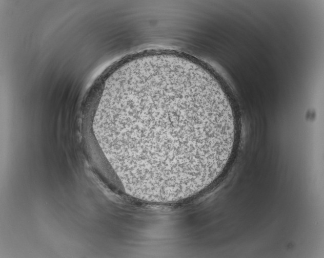 X0000113220878200910221122
