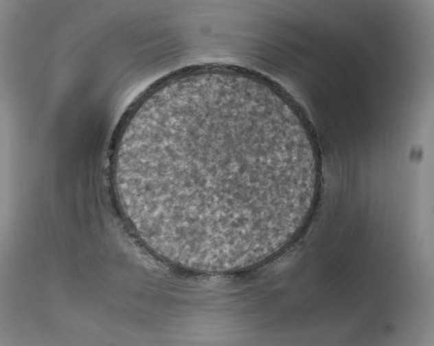 X0000113220879200910221122