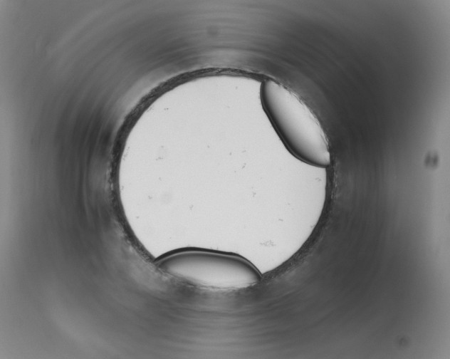 X0000113220880200910221122