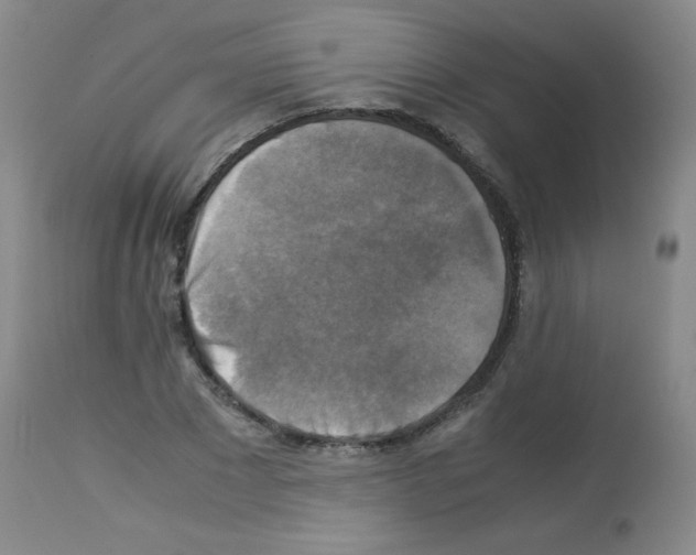 X0000113220881200910221122