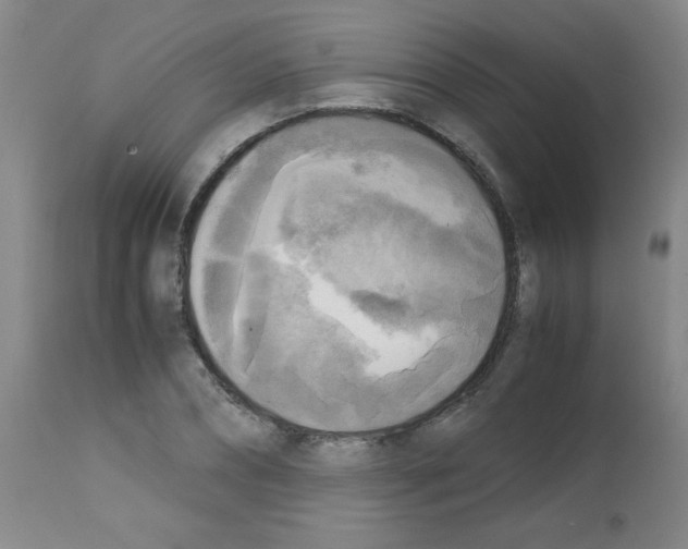 X0000113220882200910221122