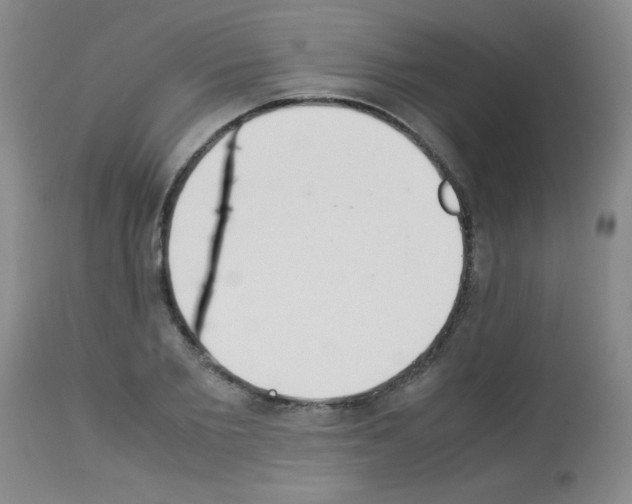 X0000113220885200910221122