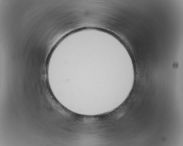 X0000113220887200910221122