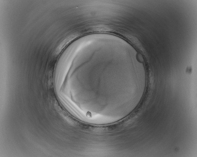 X0000113220889200910221122