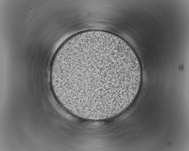 X0000113220891200910221122