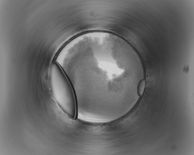 X0000113220892200910221122