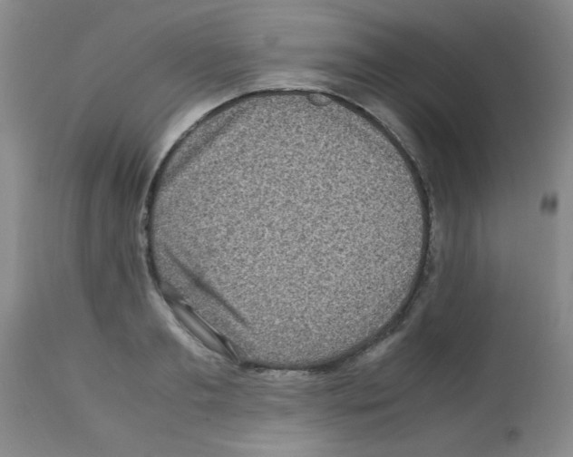 X0000113220893200910221122