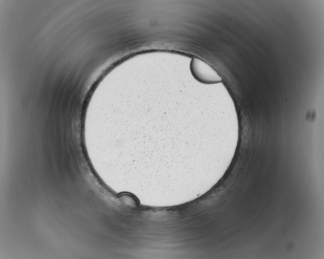 X0000113220896200910221122